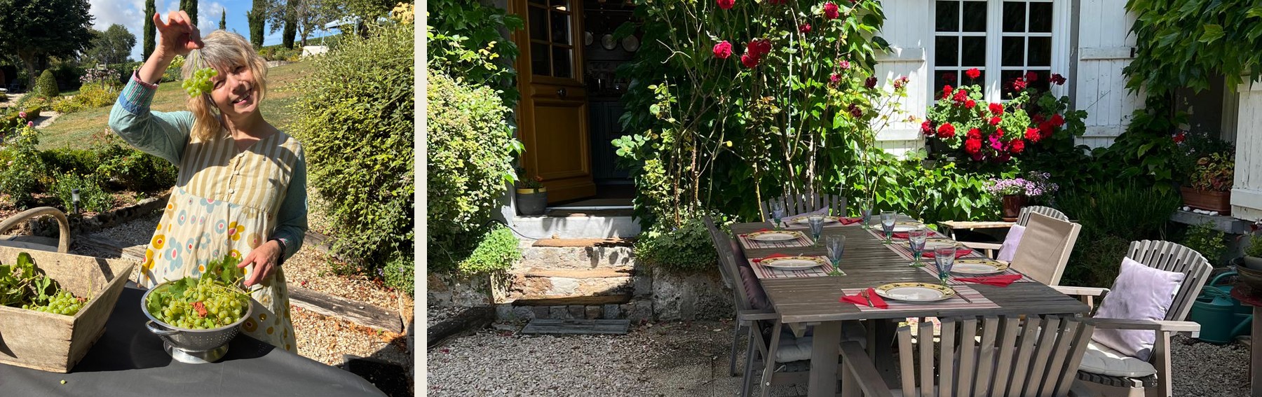 Grapes gathered in the garden and an outdoor dining table at Maison Renoux